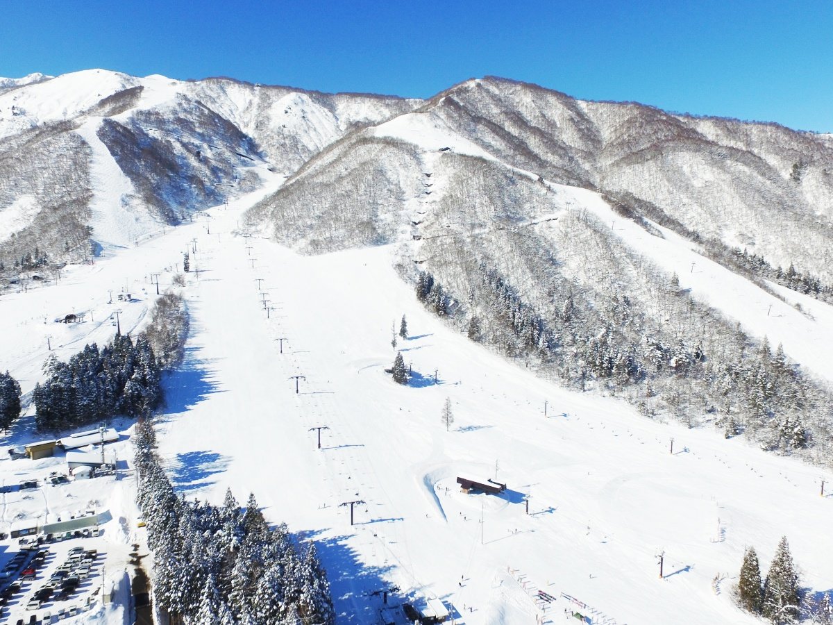 ���n�̓~�����y���݂���������