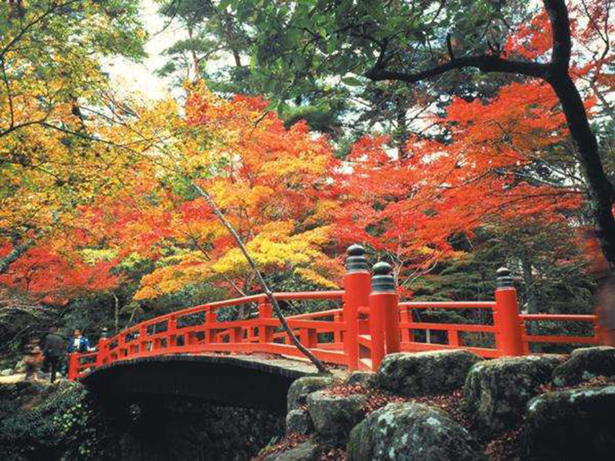 �{�� �g�t�J�����B�{���ւ̓z�e���O�V�����獂���D��26���B