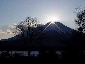 �x�m���]�̏h�C�]���[�i�B�_�C�������h�A�g�A�����A�ԁA�p�[���A�t���x�m�A�G�ߖ��̗l�X�ȕx�m�̎p�������\