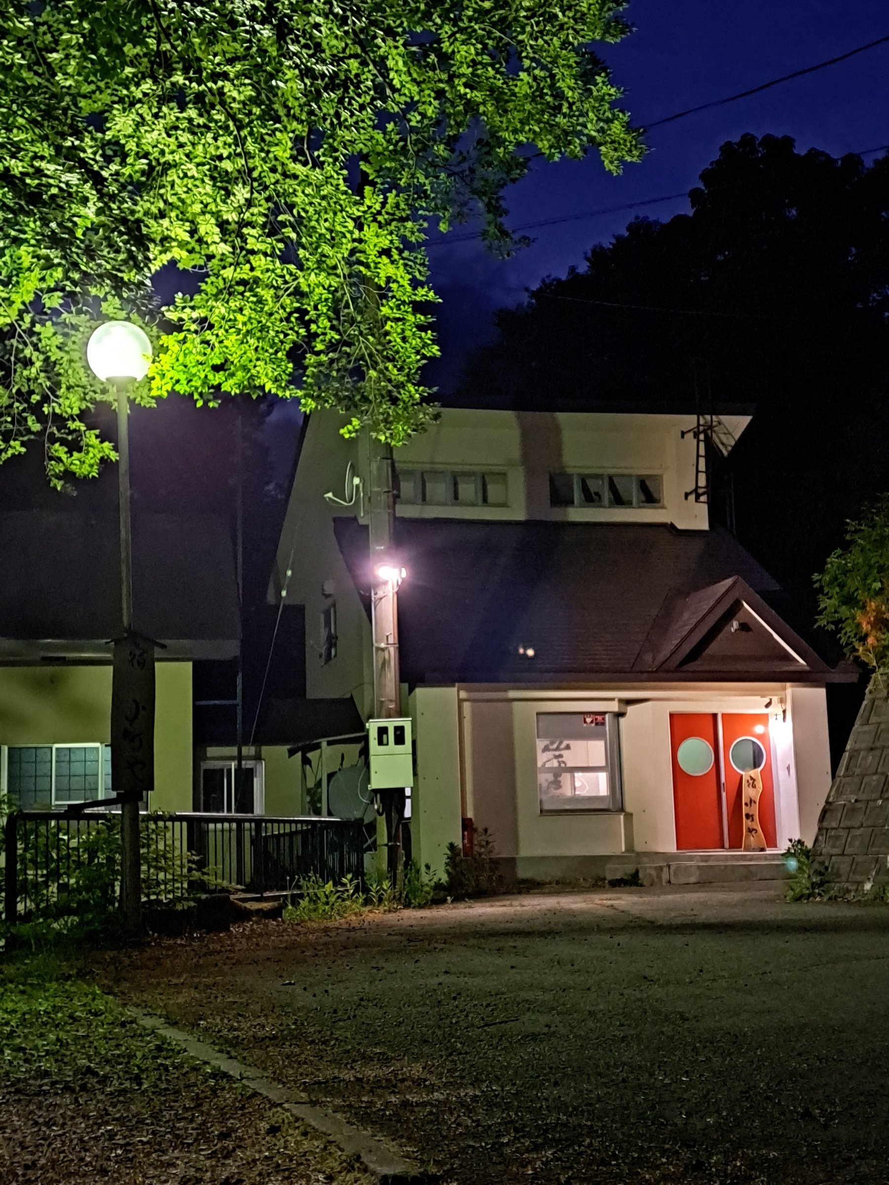 ���ʌ���