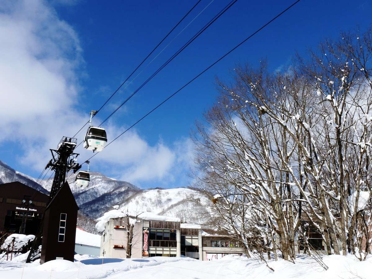 �̒r�S���h�����ꂷ���I�ϐ�L�x�A�Ꮏ���Q�̒̒r�����X�L�[��ց�