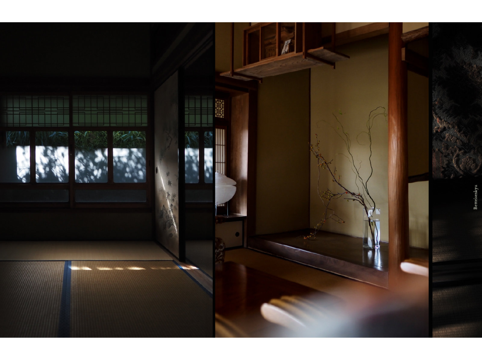 ���Ɖe�A���؂��A��捂ȂЂƂƂ����ʂ�܂��B