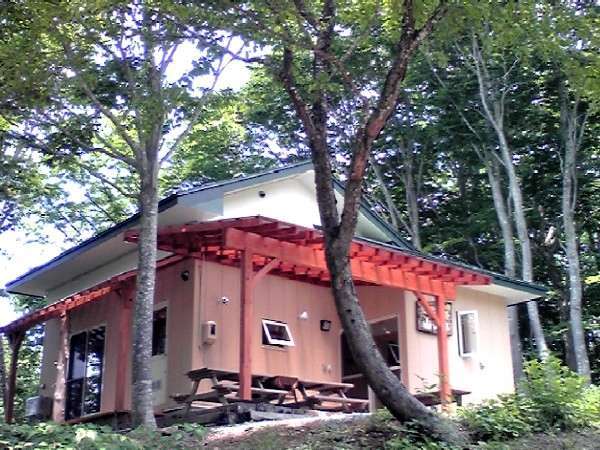 �u�i�Ɉ͂܂ꂽ���̗ǂ��㎿�̃R�e�[�W