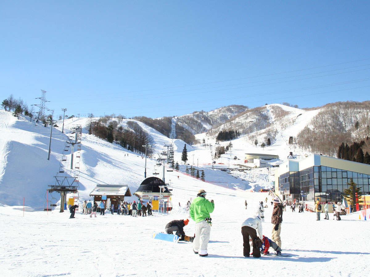 �y���Ӂz�_�C�i�����h�i�ԂŖ�15���j