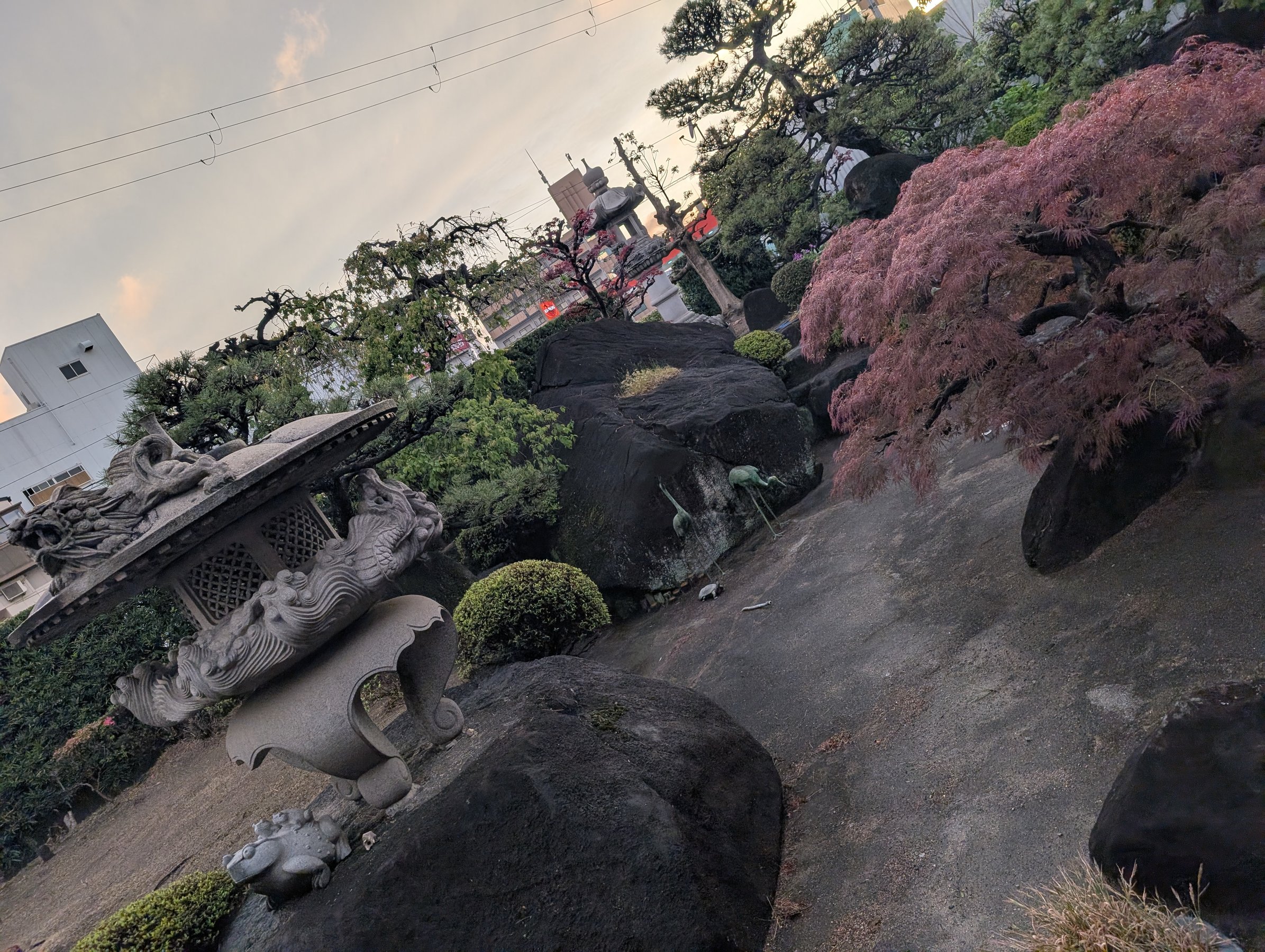 {뉀͎R