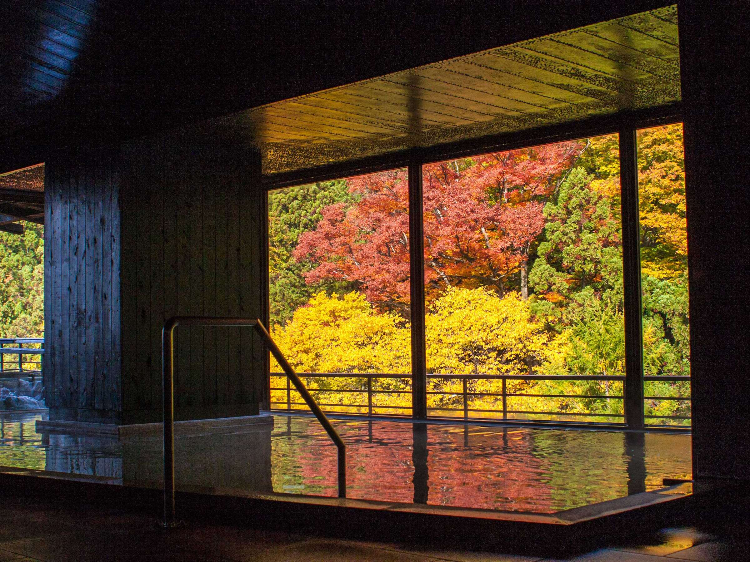 yV̓@嗁zgt͂܂ŊĜ悤ȔiFL܂iʐ^͒jjB