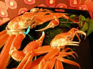 2007NxR~@[HTDO_̃^OttJjƒH̐q