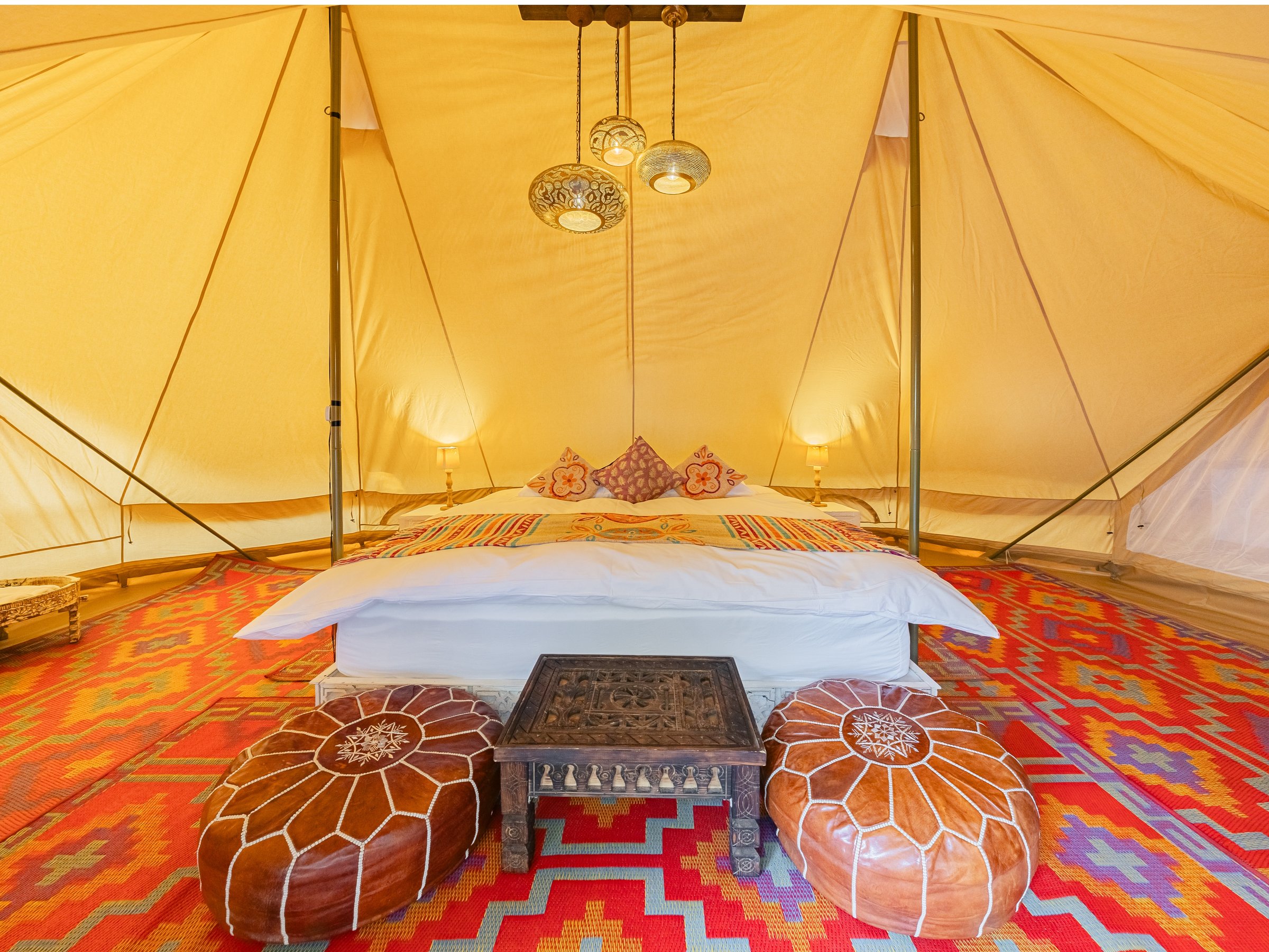 *�ySITE_A�^�e���g���z�ٍ���Y���e���g�ŉ߂��������̏h���̌��B