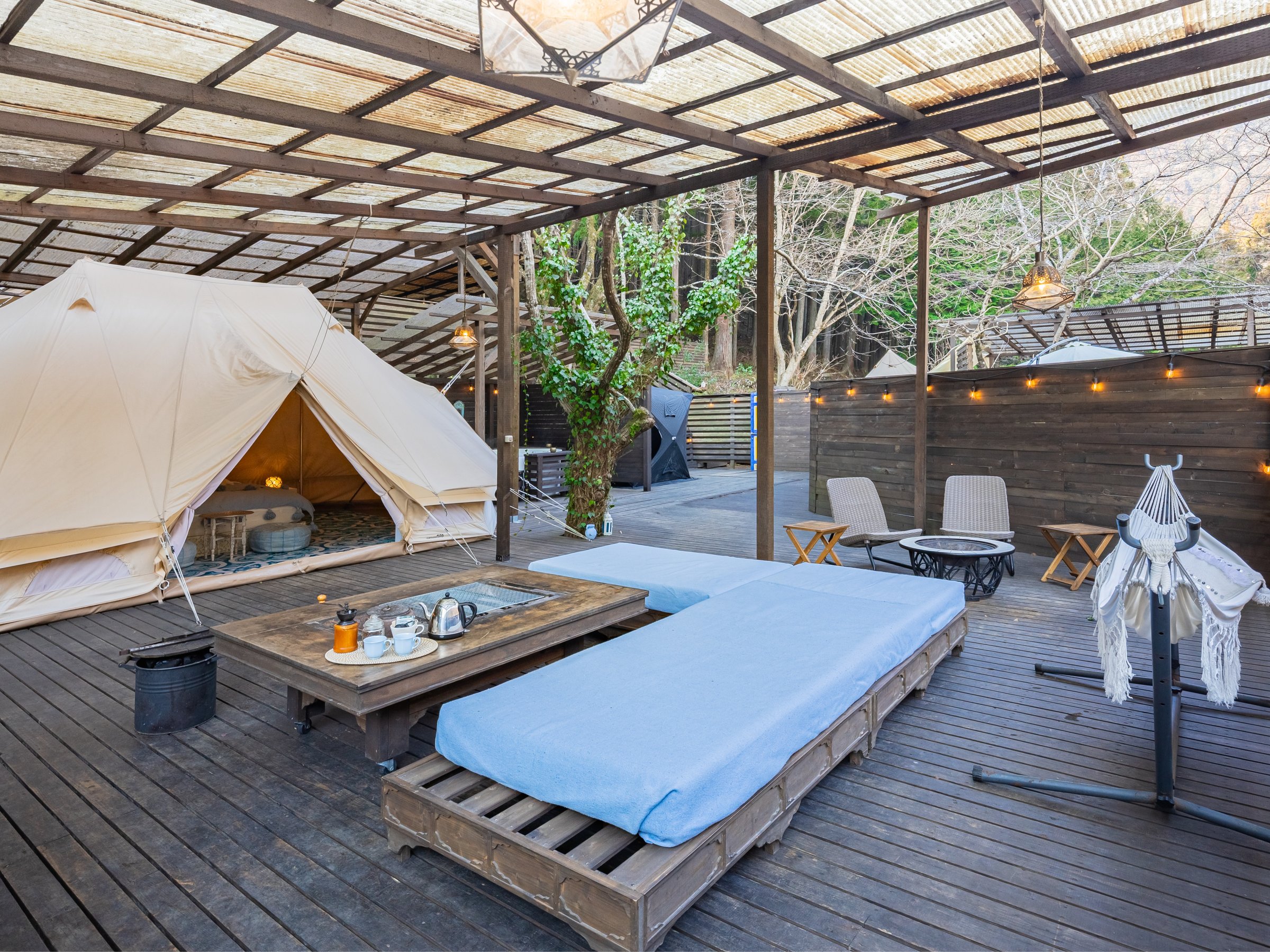 *�ySITE_B�^�n�����b�N�z�\�t�@�ƃn�����b�N���ґ�Ȓ��Q���B