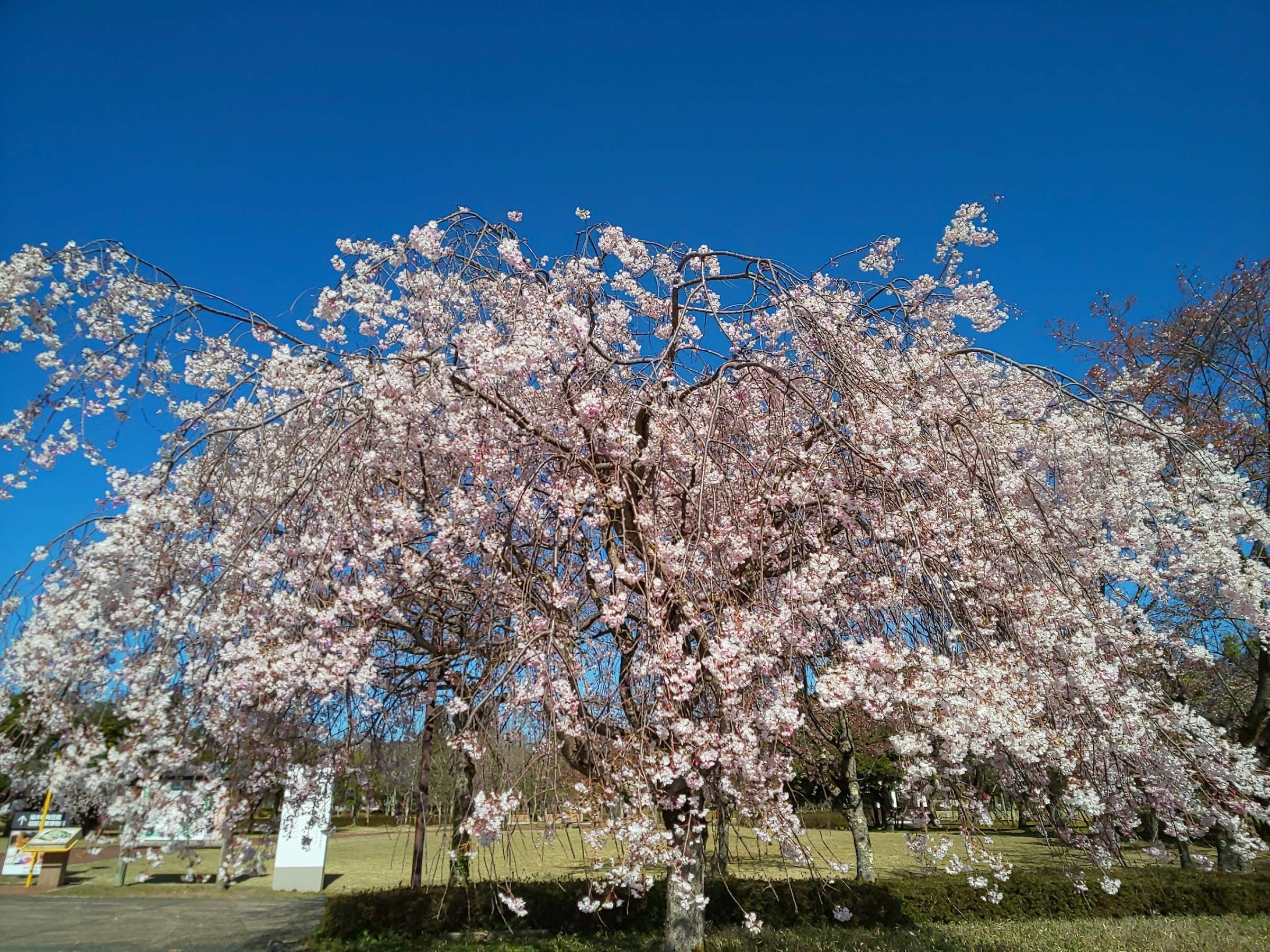 �tࣖ���z�O���|�������̍�