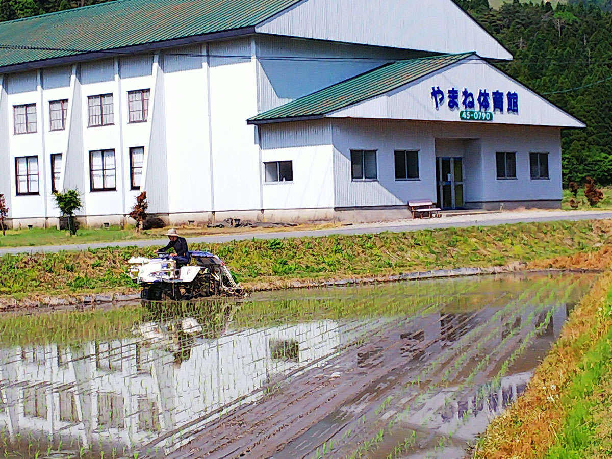 ��܂ˉ���p�̈�ق͓��ق��k��5�����ڂ̑O�Ŏ��Ɛ��̂��Ă���ĂĂ��܂��I