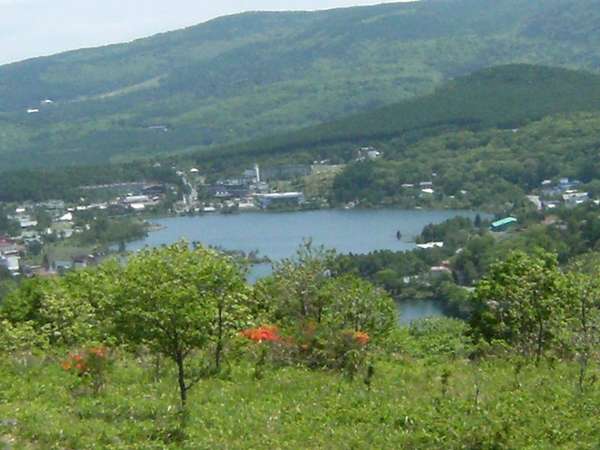 �ቺ�ɂ͔����΂ƃc�c�W