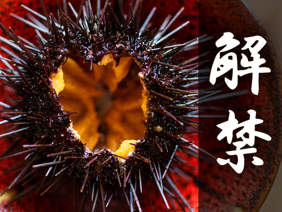 ċG聟ÔƂ낯uEjvցIi4`j