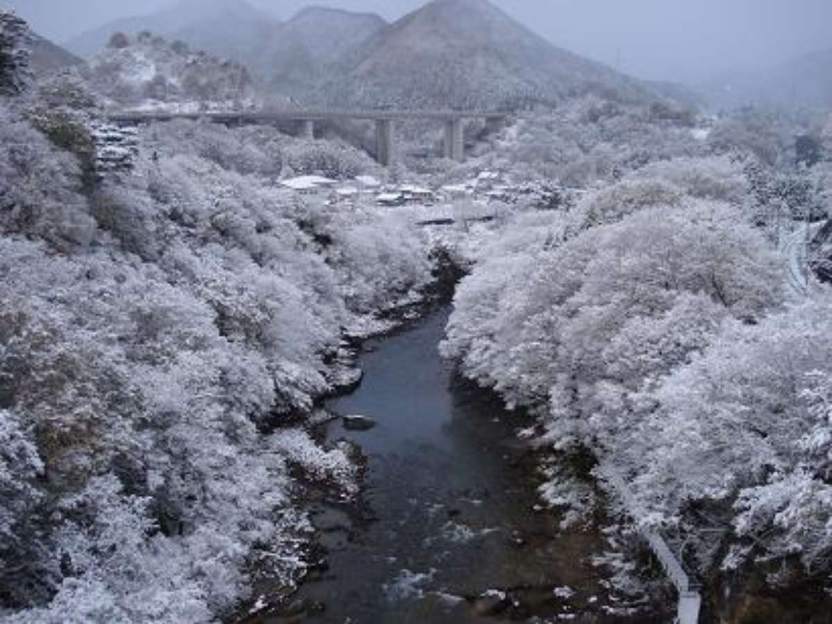 yzKz~͐n̂悤ȐÎ̌iF