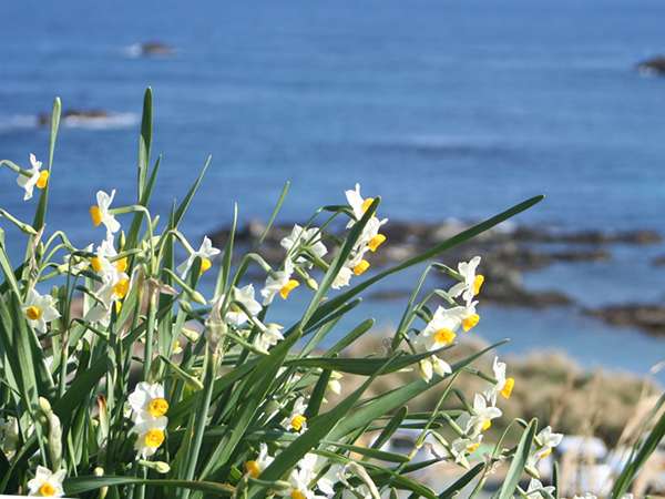 �ܖ؍�̐���