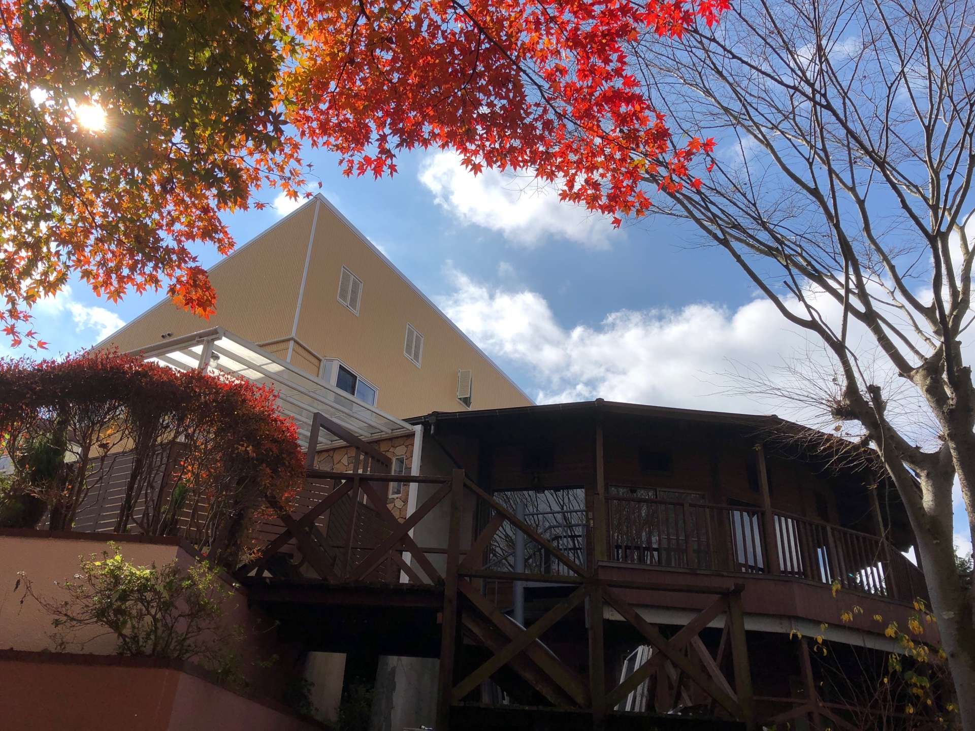 Hɂ͕ʑnӂ̍gtYɐFt܂B