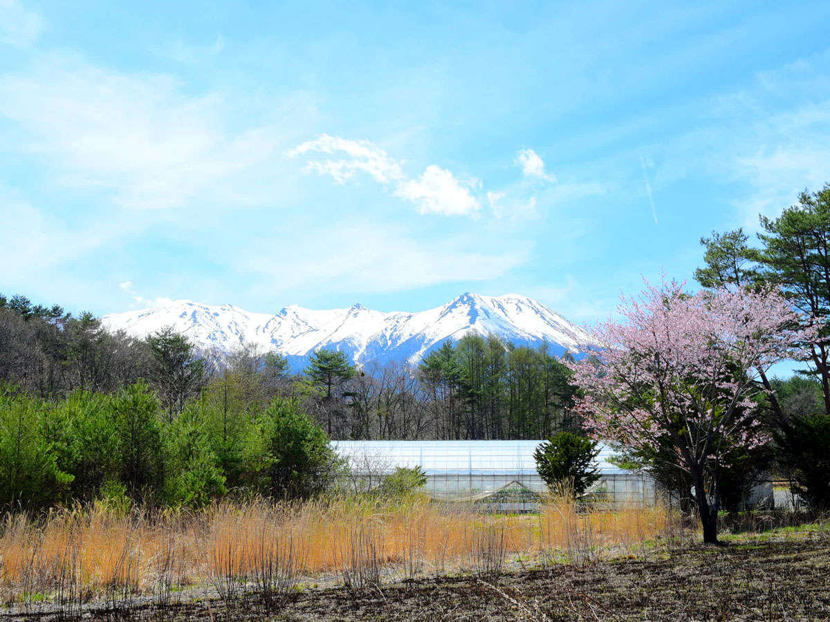 *[�ߗו��i�^��ԎR�i�t�j]��N������4�����{�`5����{��