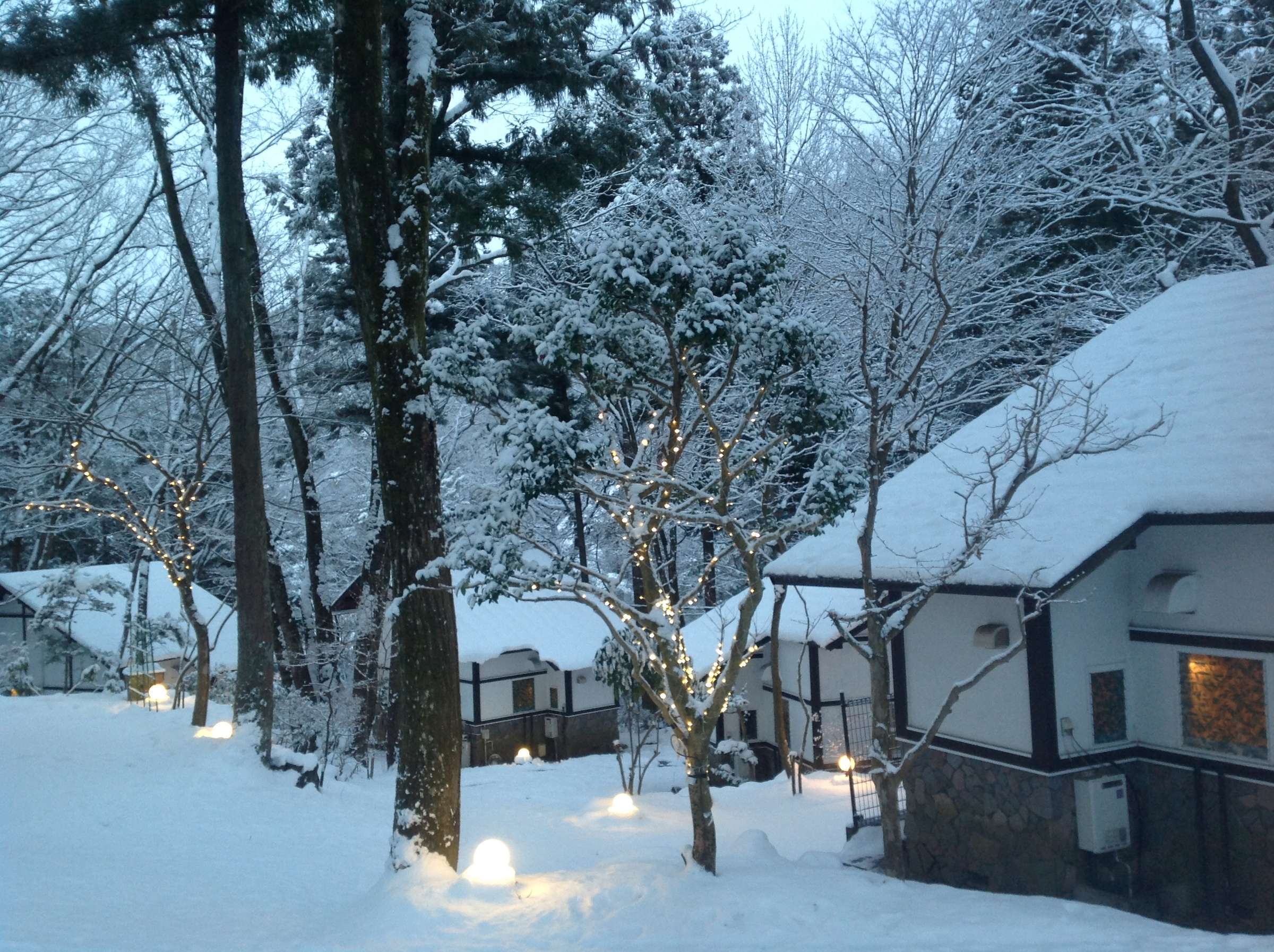 ̋S{쉷BŊ̓[hXNEFAwk4̉wOʑ