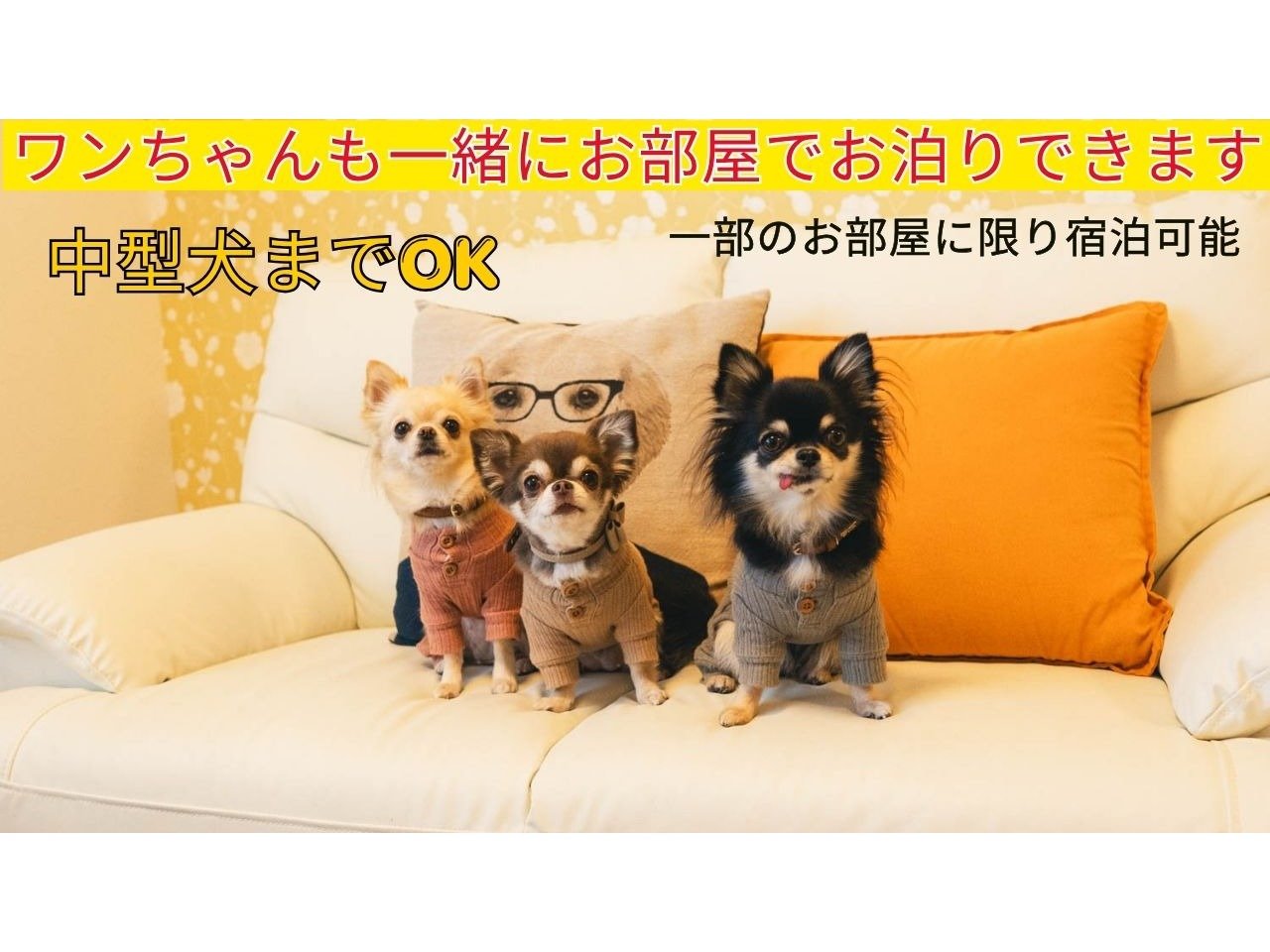 ���������̓���OK�@�������^�C�v�����肳��܂��̂ŁA�u�y�b�g�����v�����v��育�m�F�������B