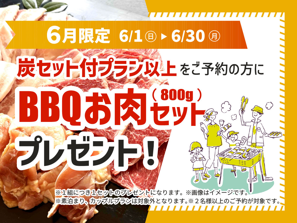 y6zYZbgvȏゲ\̕BBQZbg(800g)v[gI