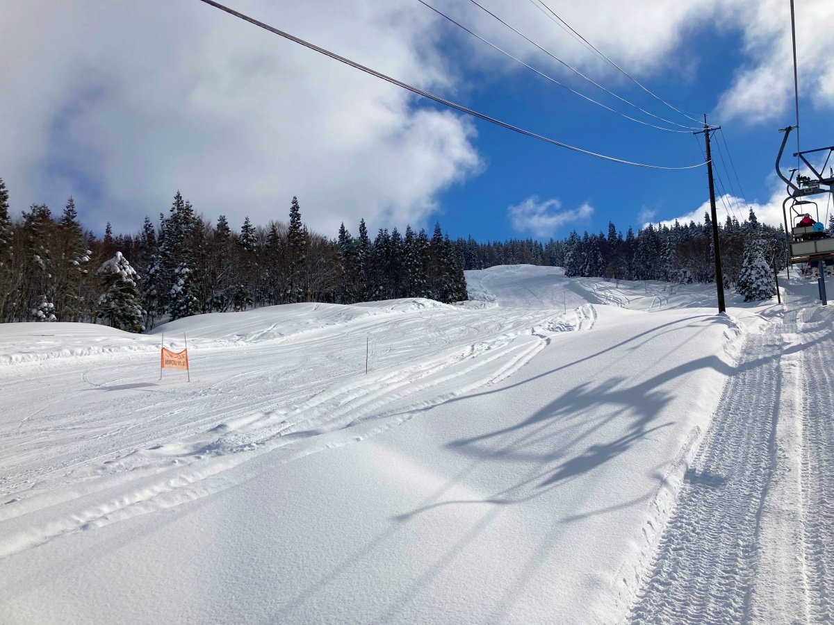 �y���Ӂz��z���ۃX�L�[��(���ԃQ�����f)�܂ŎԂŖ�20��