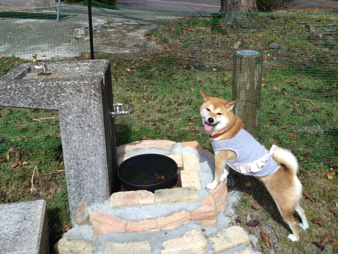 ݏAV񂾌̐⋋􂢏܂I