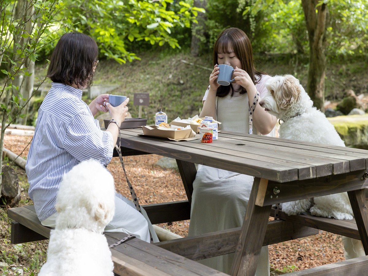 �H���C���[�W