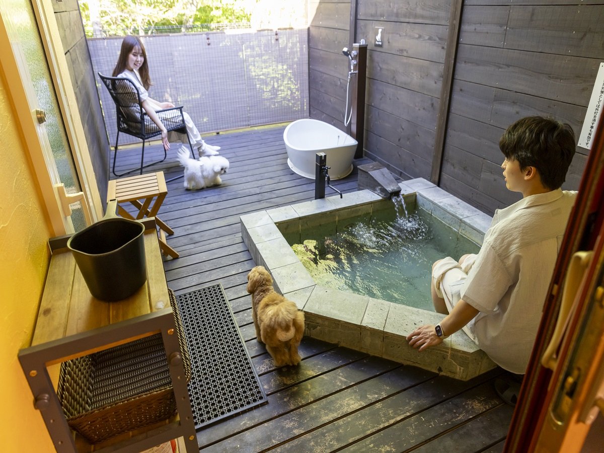 �q���I�V���C