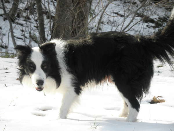 ���������ƈꏏ�ɐ�V�с���Ɏc�������Ղ��Ƃ��Ă��L���[�g�I�V�񂾌�͓��قŒg�܂��Ă��������ˁ�