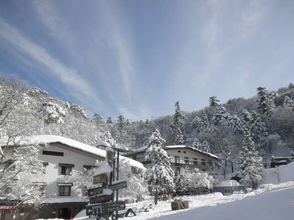 �y��i�F�z�Q�����f�܂ł͓k��5���I�E�C���^�[�X�|�[�c�ɂ��A�y�b�g�Ƃ̐�U���ɂ���