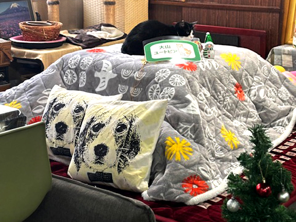 ���։��ɁA�y�b�g���ꏏ�ɓ���邱����ݒu���܂����I