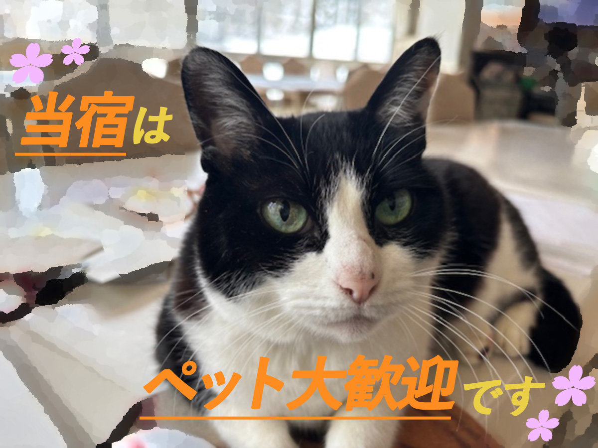 ���^�`��^�̂�񂿂��A�˂������₤�������Ȃǂ̏��������劽�}�I�����X�y�[�X�������ƈꏏ�Ɂ�