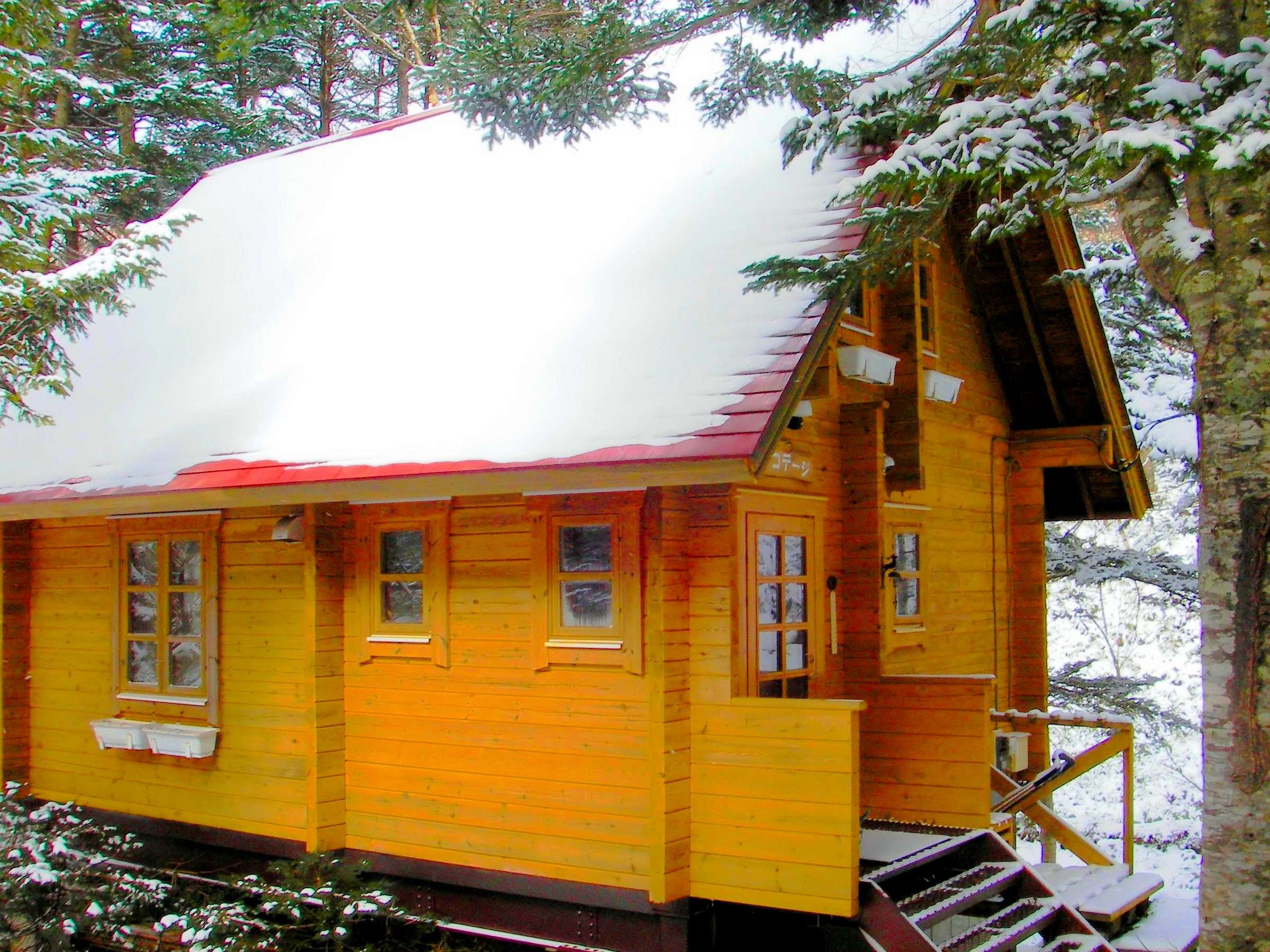 ��̃R�e�[�W