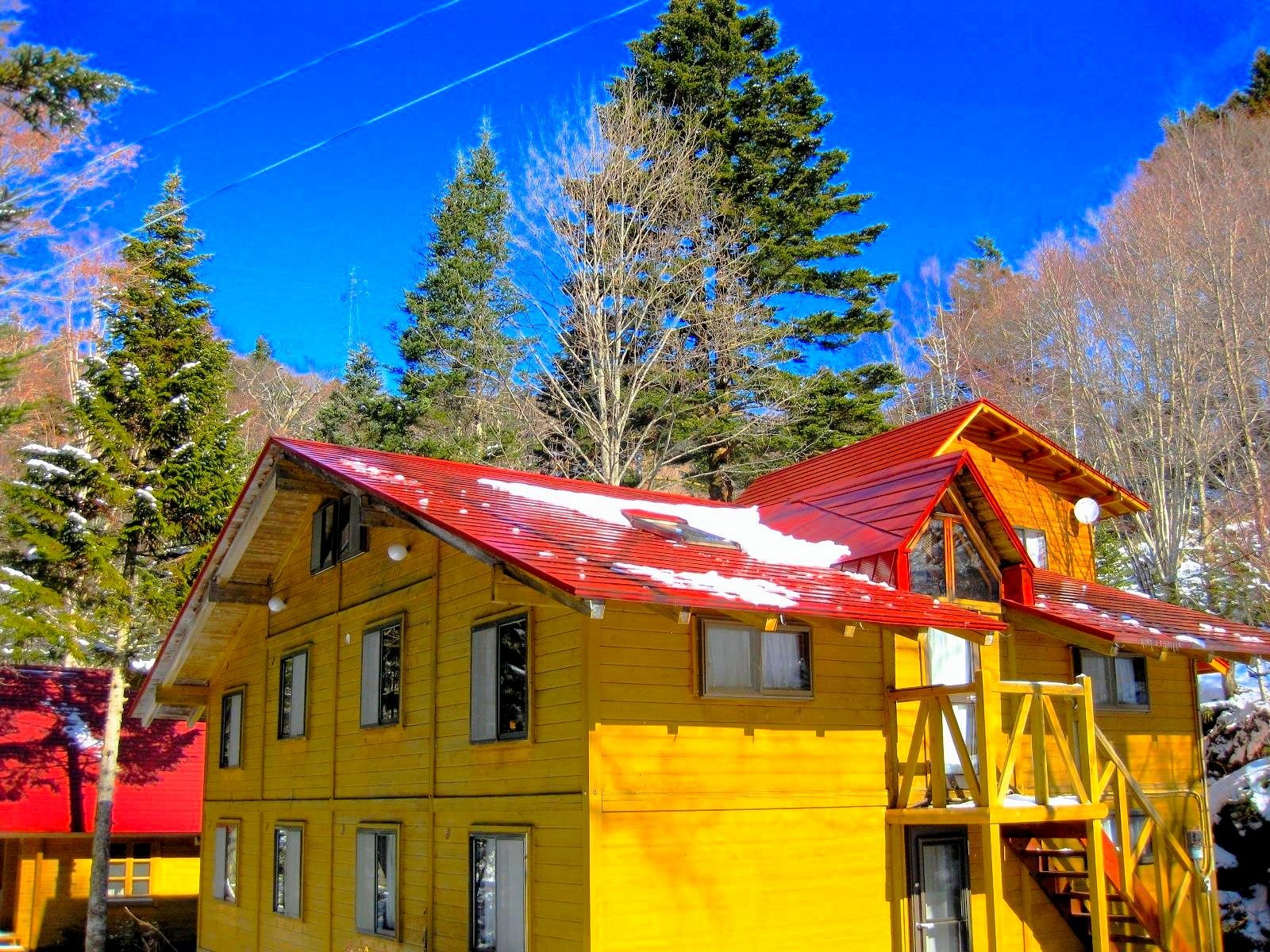 �y���V�����O��