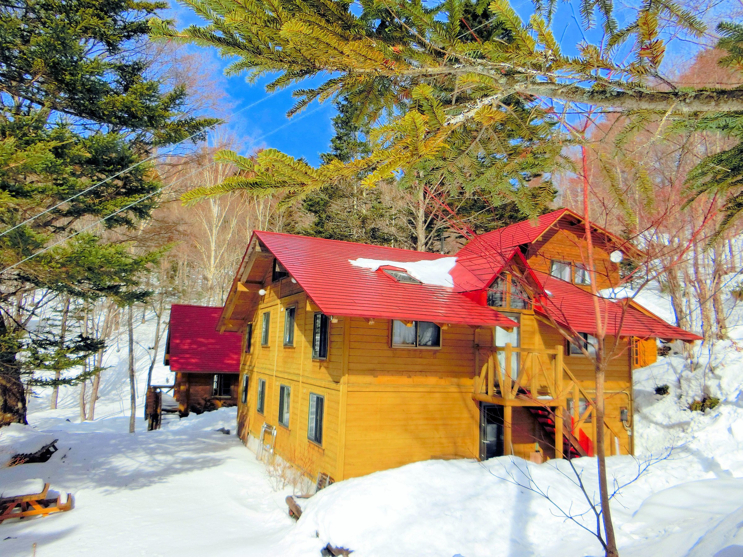 �y���V�����O��