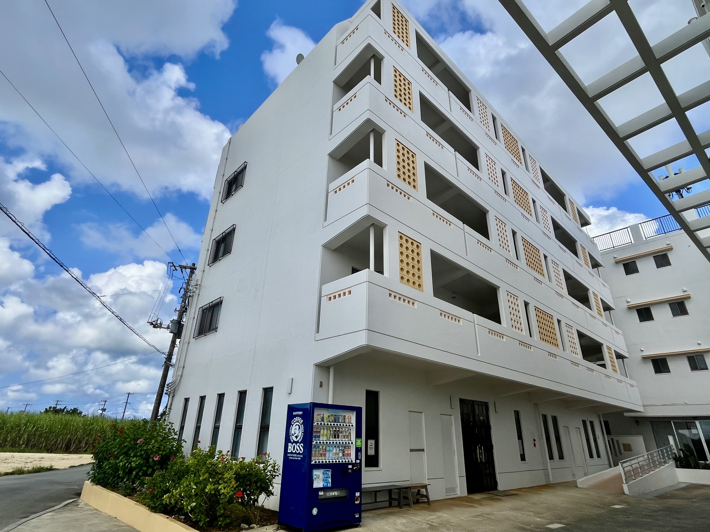 TgELr̒ɂAꂽɂ͉ォ疞V̐󂪒߂܂