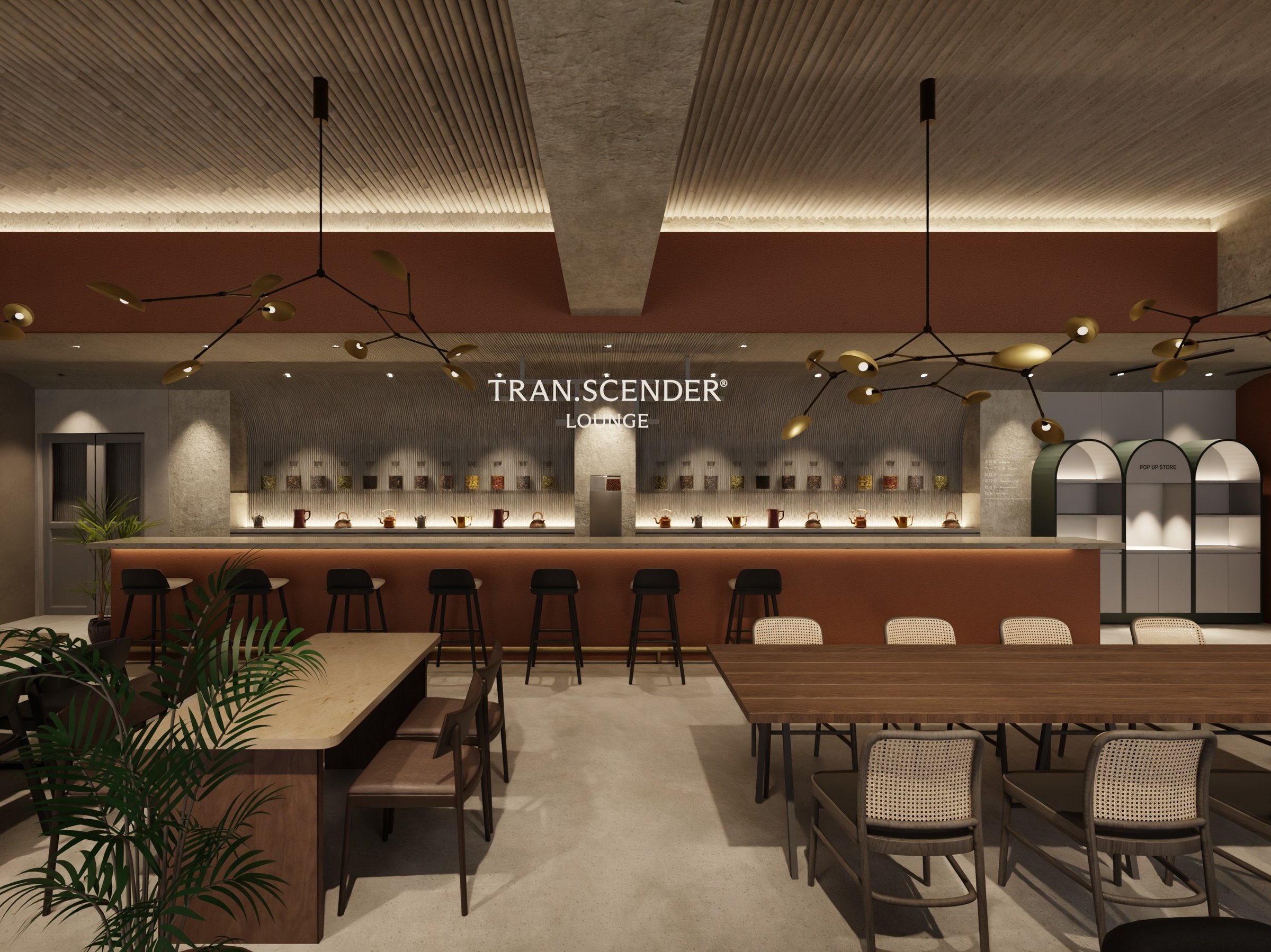 TRAN.SCENDER LOUNGE C[W