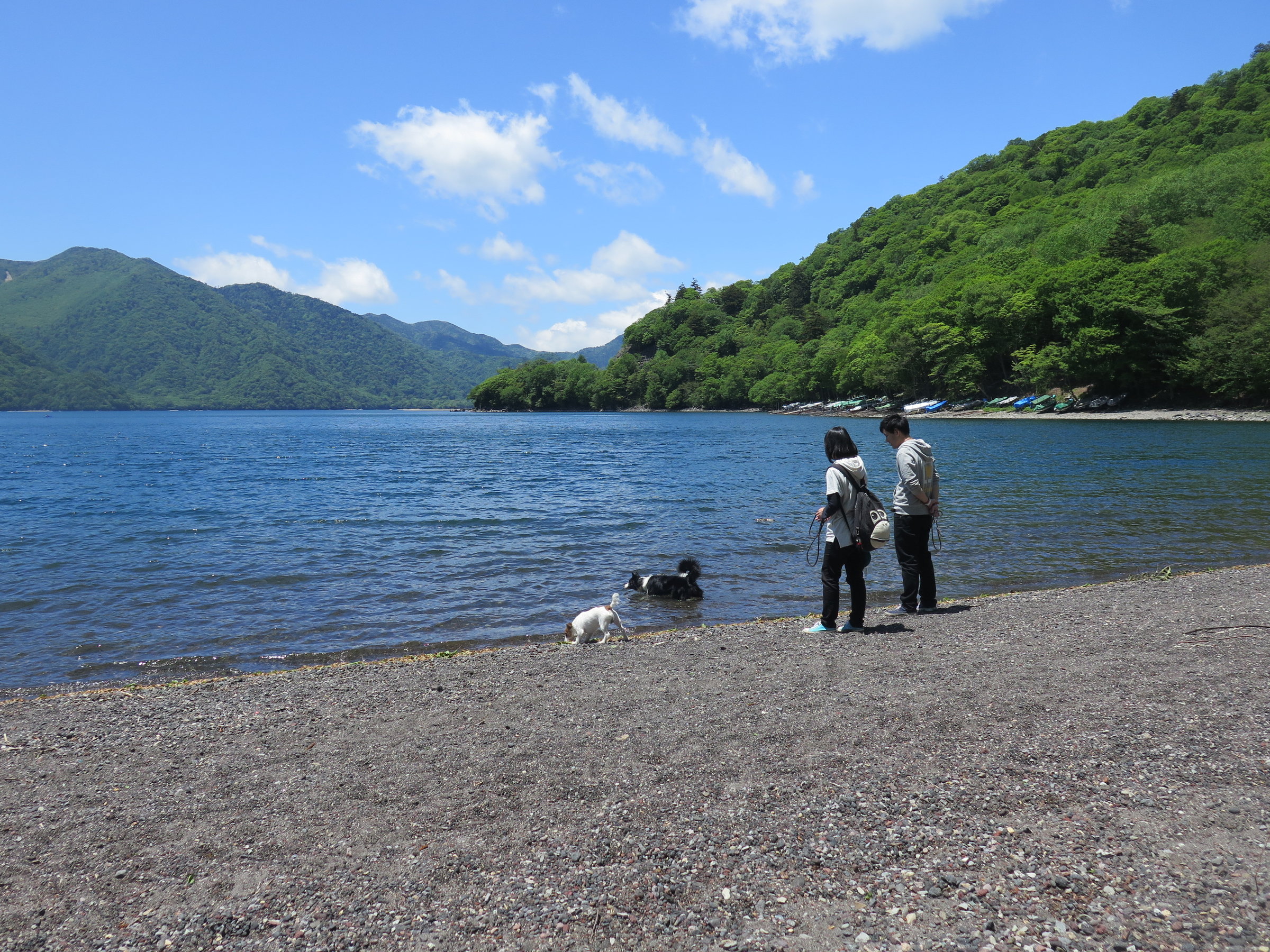 �y���T���΁z�������̒��T���Ńy�b�g�����Ɛ��V��