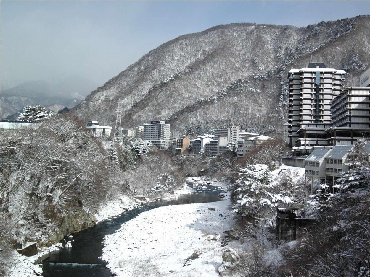 �y�~�z��i�F�̋S�{��