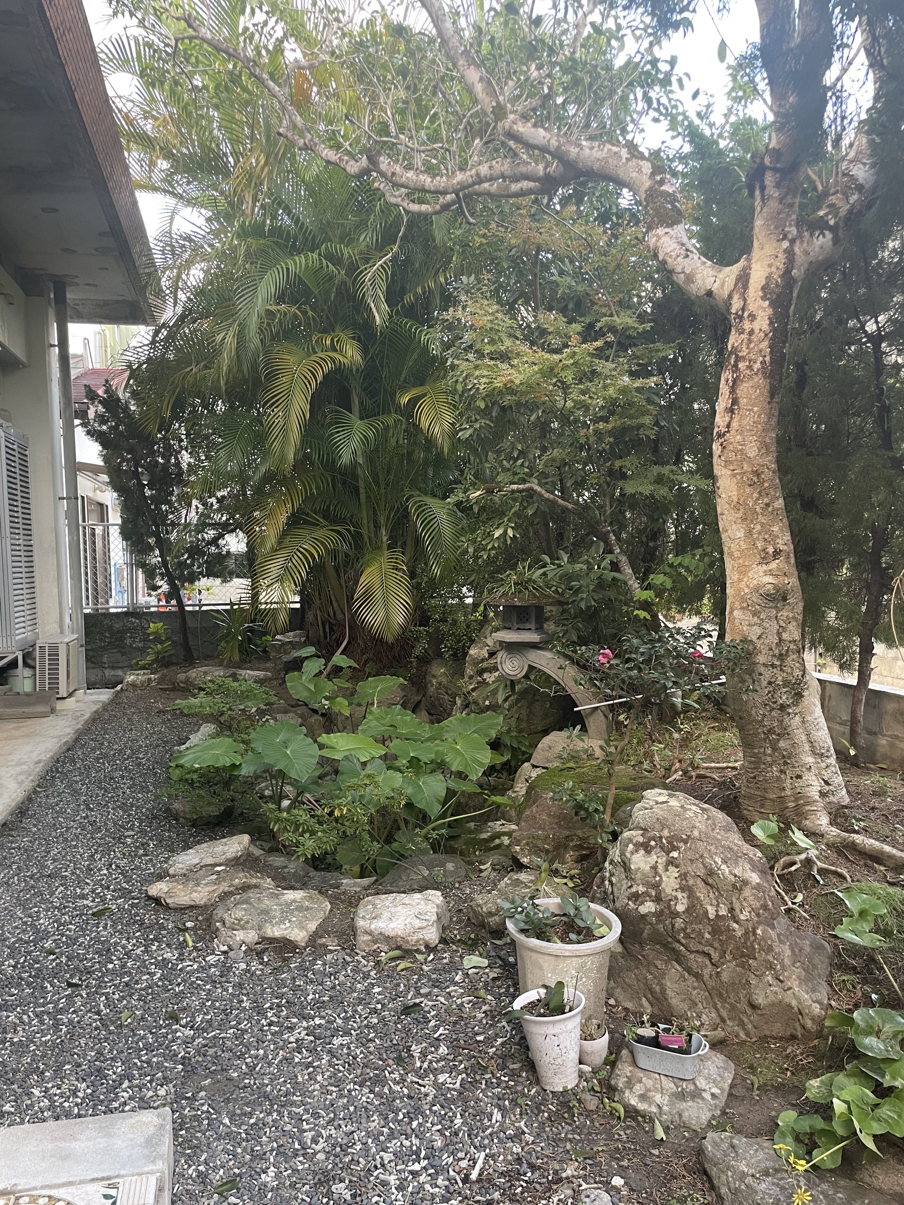 �ꕔ�̂������������������