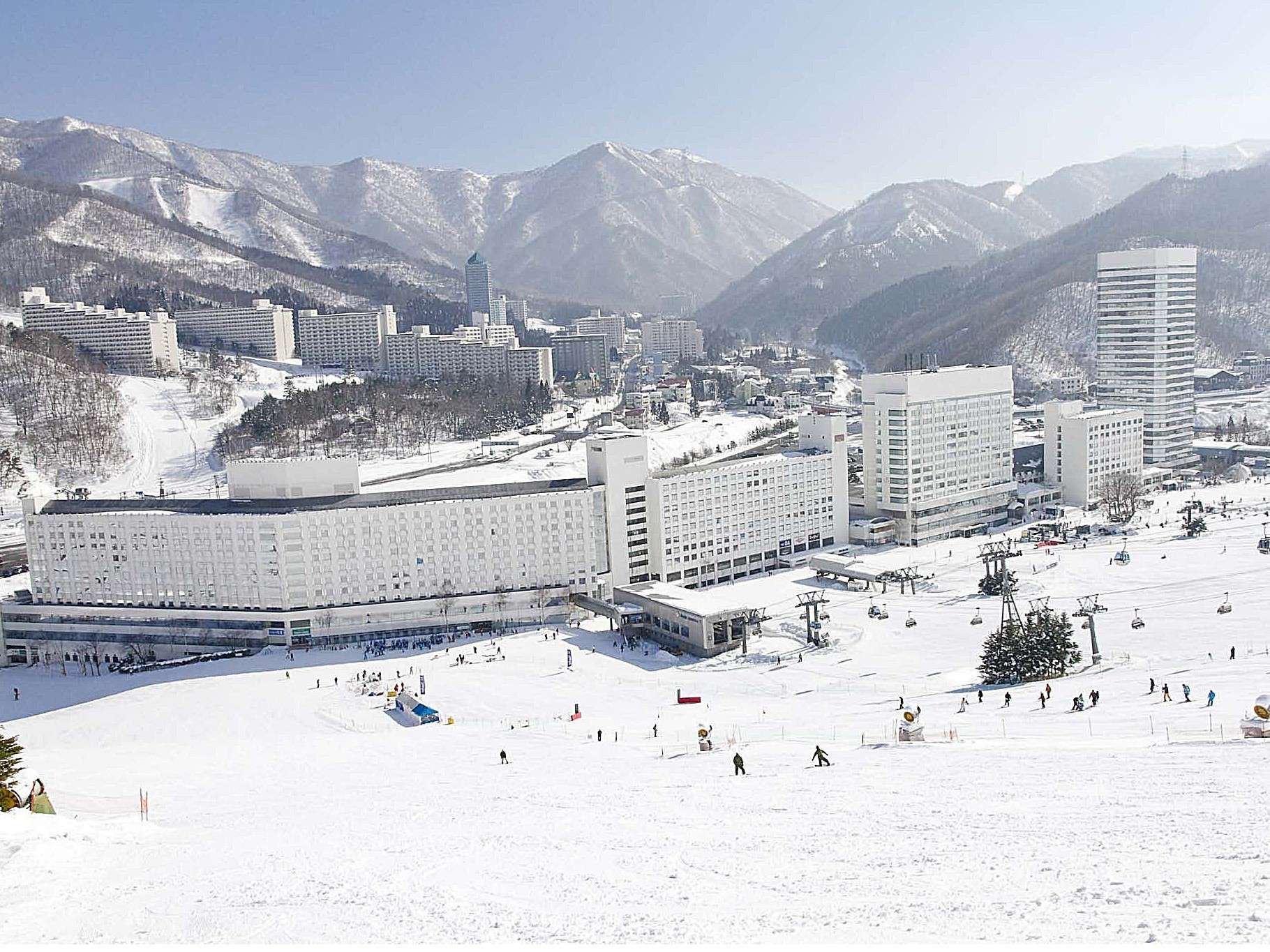 �Q�����f�����I�z�e���̖ڂ̑O���Q�����f�ł���