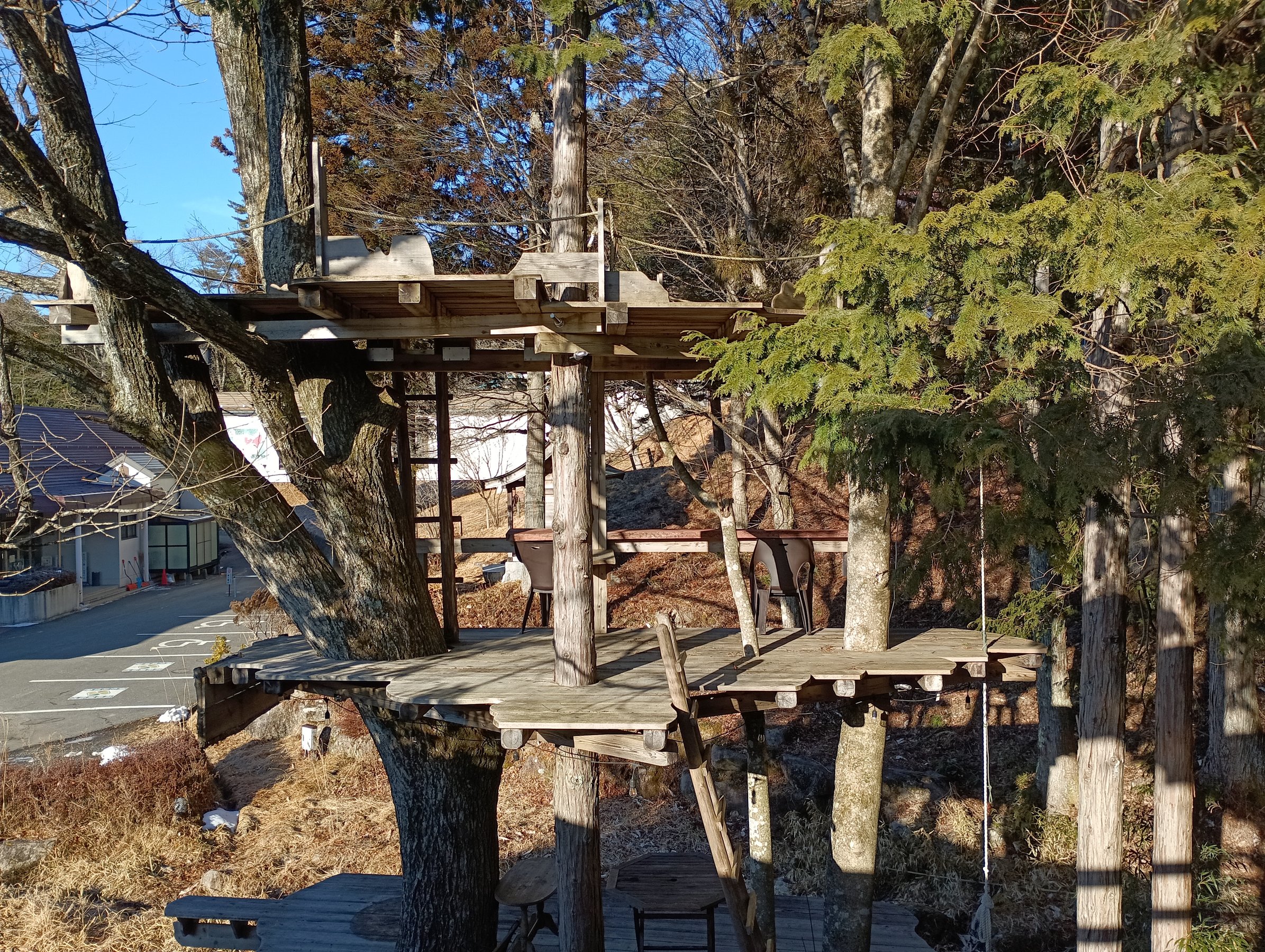 ���q�ǂ������ɐl�C�̃c���[�f�b�L