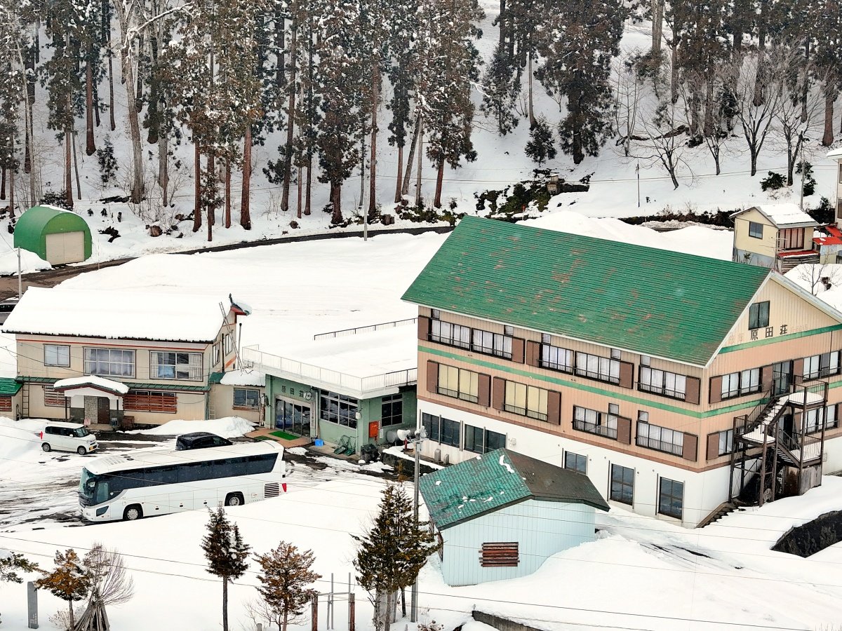 �y�~�̊O�ρz�k���ŃQ�����f�ɒ����D���n�I���}�������k���������B