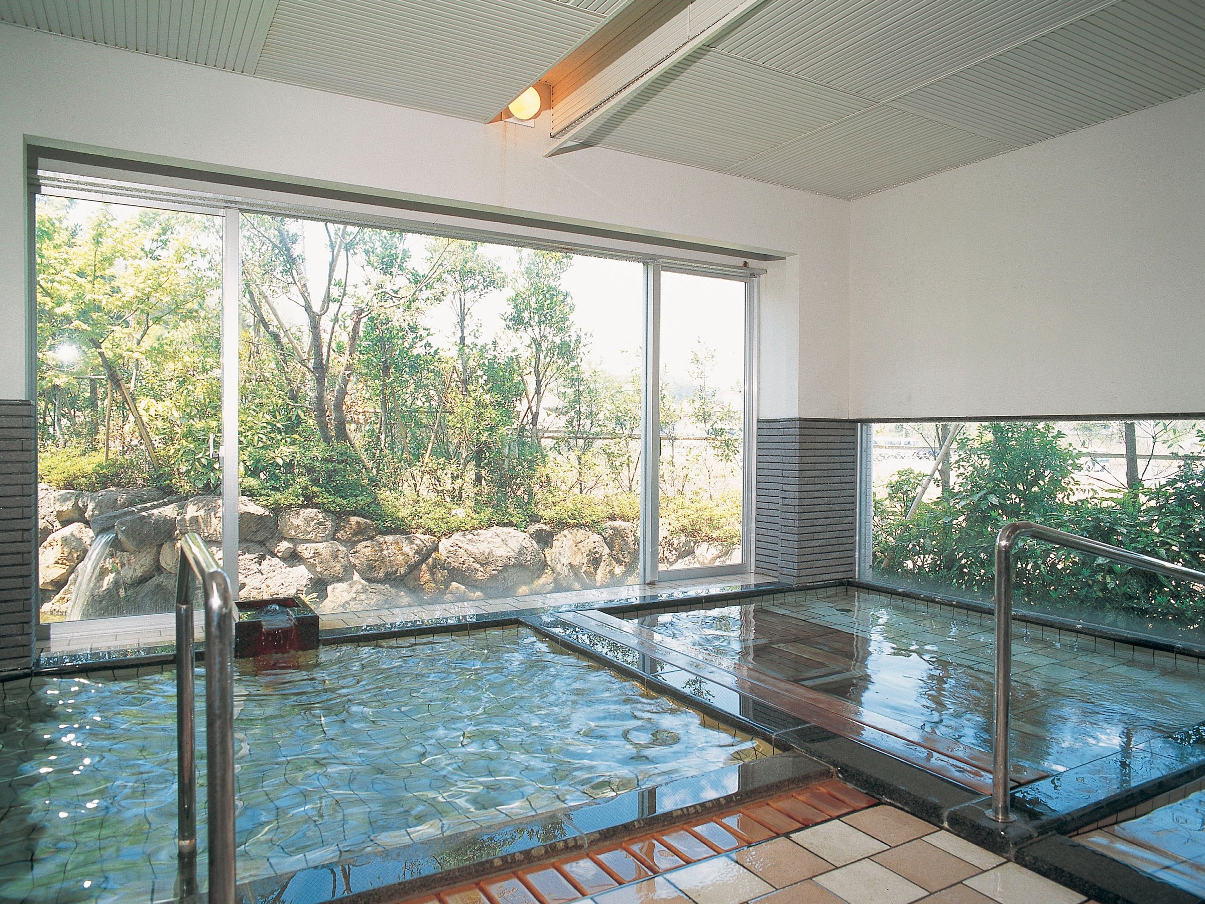 �A�l�b�N�X�嗁��