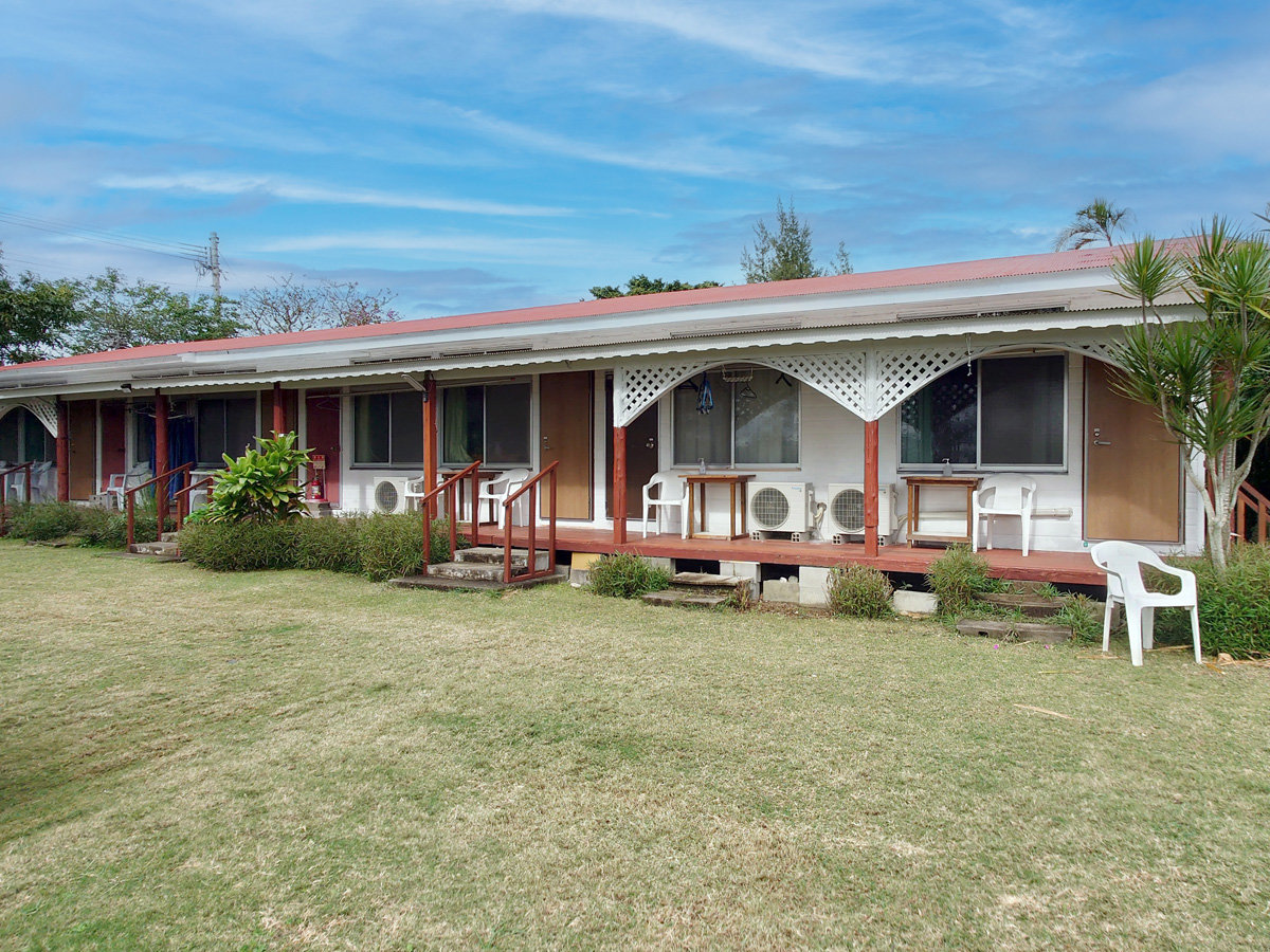 �y�K�[�f���z�q���̑O�ɍL����뉀�I�����R�ɂ��߂�����������