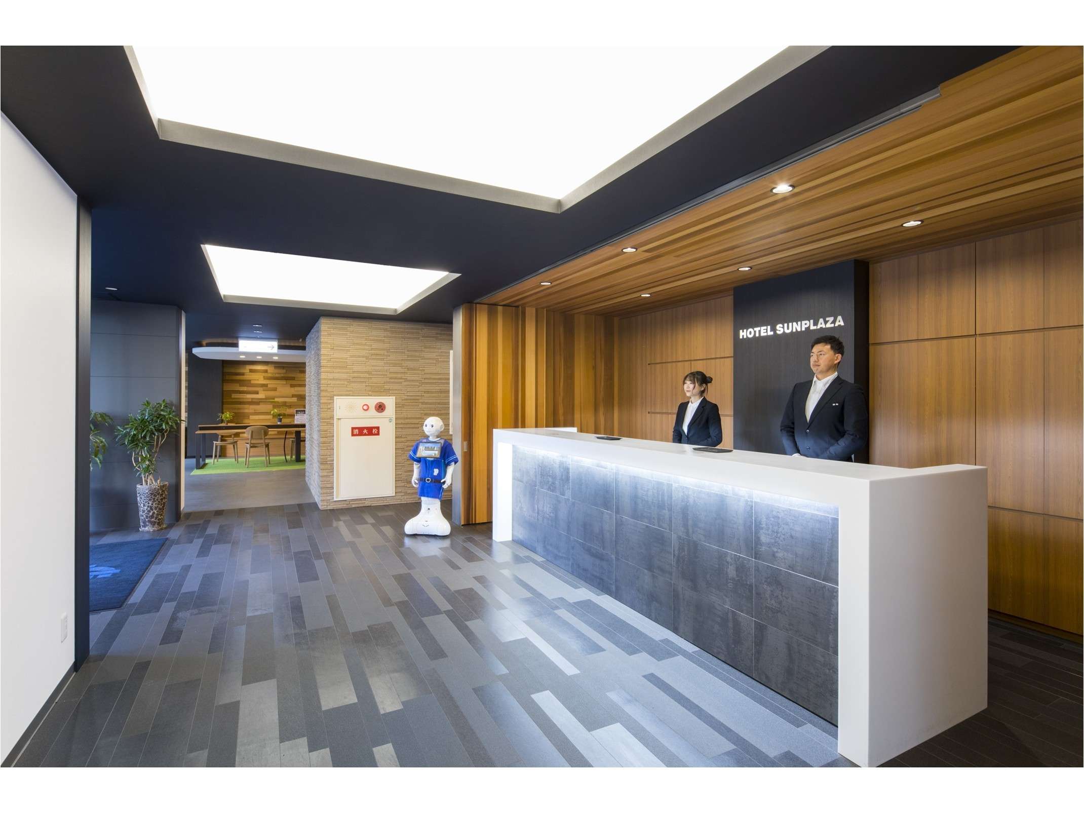 ���Z�v�V����