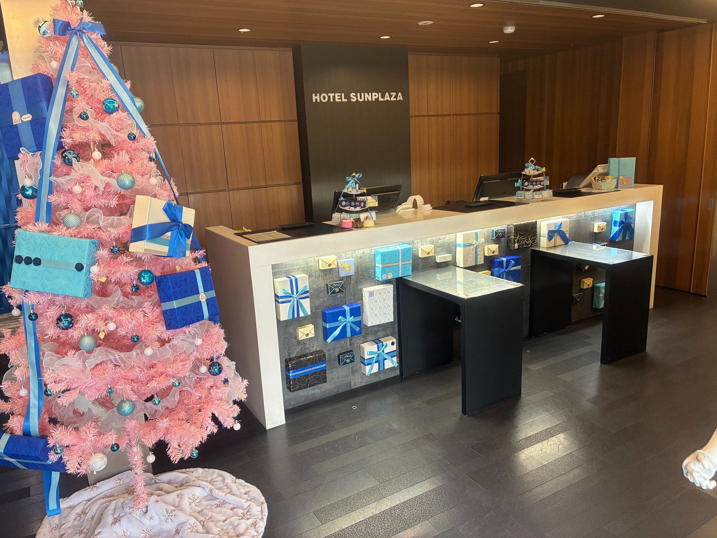 ���Ԍ���̏�����ł��q�l�����ē�