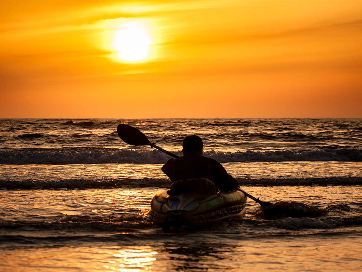 *�V�[�J���b�N�^�������ɊC�ւƑ����o���̂��A���}���������ăI�X�X���ł��B