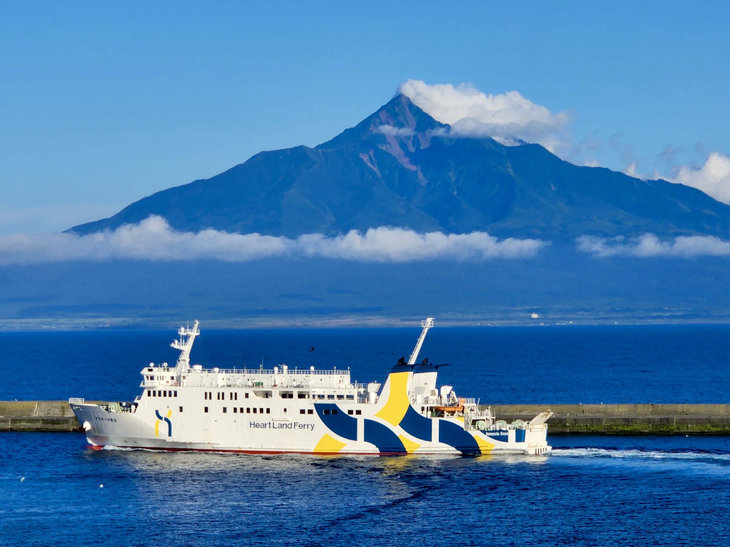 *�y���[�`/�z�e���̖ڂ̑O�I�z�n�[�g�����h�t�F���[�Ɨ��K�x�m