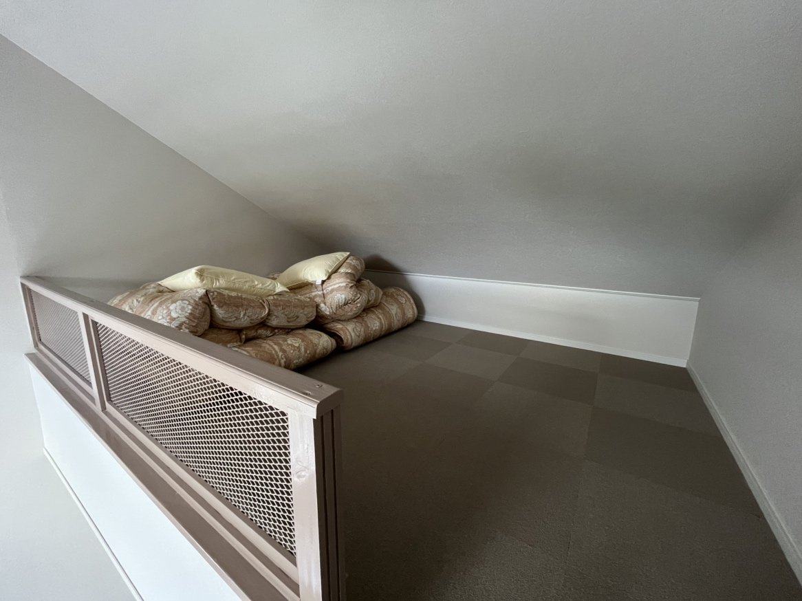 �c�C�����[���i���t�g�t���j�q���̃��t�g�ʐ^�ł��B